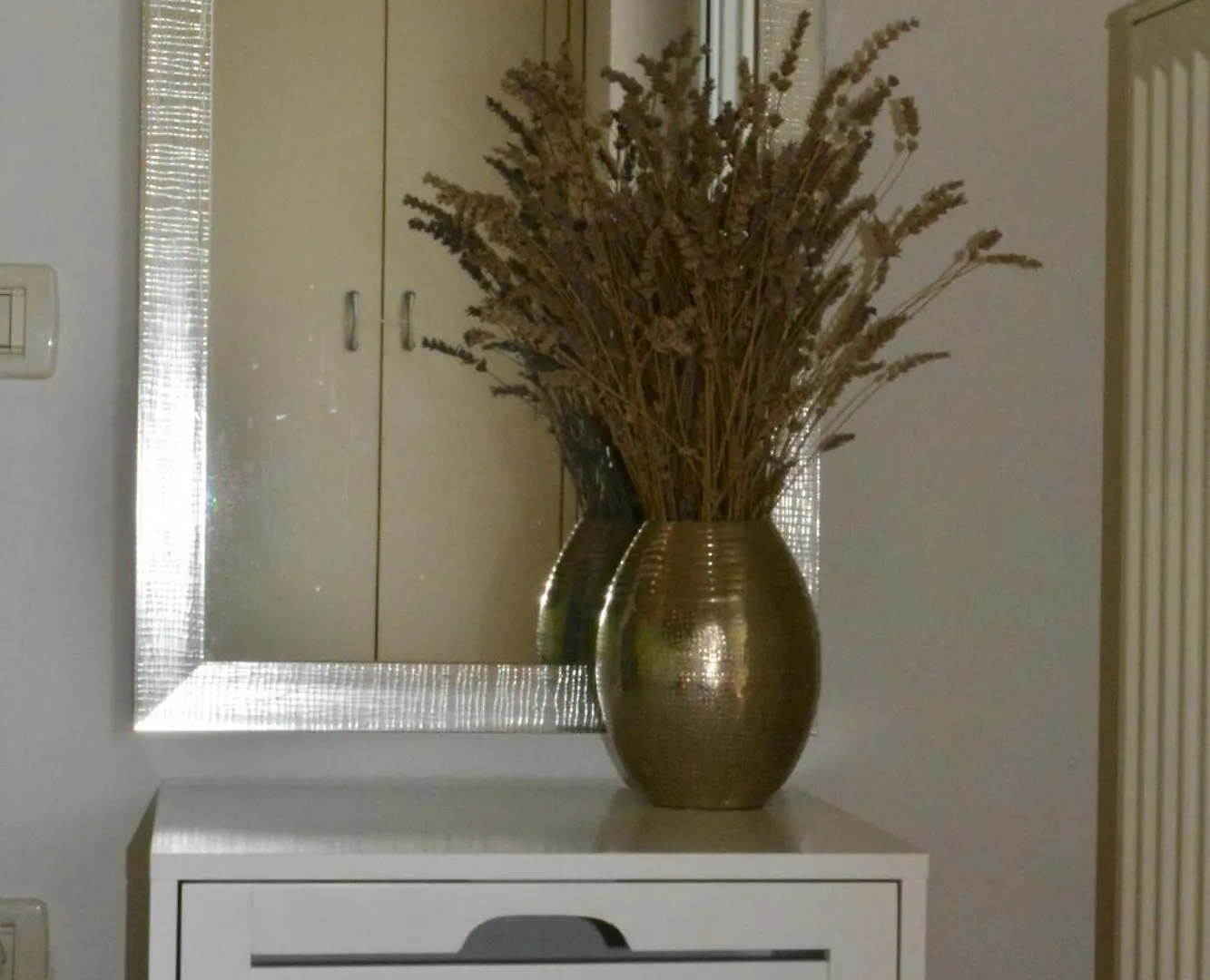 אופטיה Apartments Zigulic